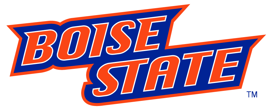 Boise State Broncos 2002-2012 Wordmark Logo diy DTF decal sticker